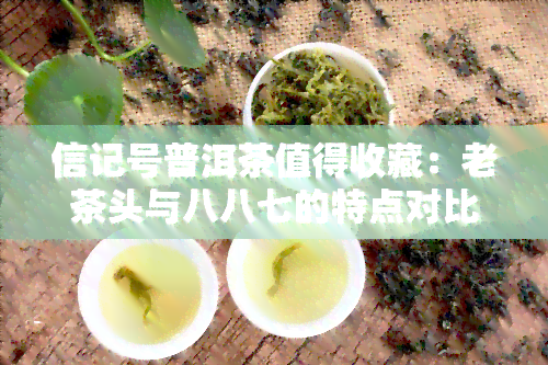 信记号普洱茶值得收藏：老茶头与八八七的特点对比