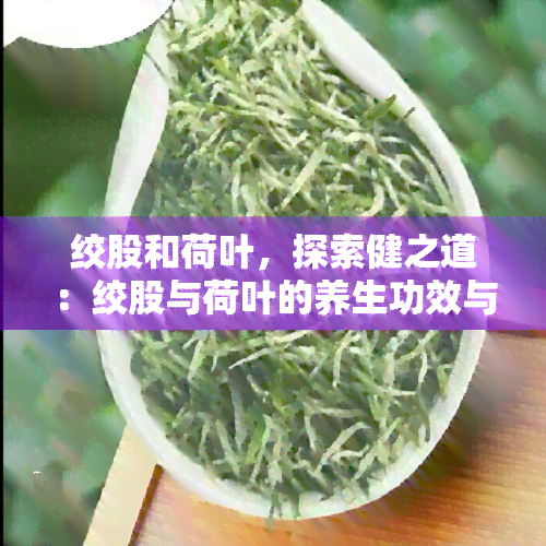 绞股和荷叶，探索健之道：绞股与荷叶的养生功效与食用方法