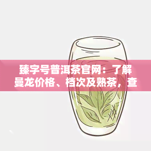 臻字号普洱茶官网：了解曼龙价格、档次及熟茶，查询价格，探索茶厂信息