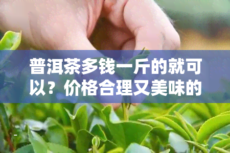 普洱茶多钱一斤的就可以？价格合理又美味的普洱茶推荐！