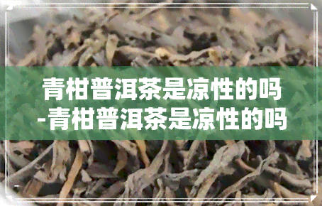 青柑普洱茶是凉性的吗-青柑普洱茶是凉性的吗还是热性