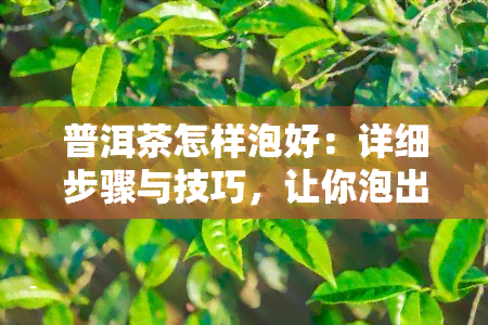 普洱茶怎样泡好：详细步骤与技巧，让你泡出喝的普洱茶！