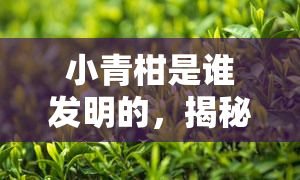 小青柑是谁发明的，揭秘小青柑的起源：他是谁发明的？