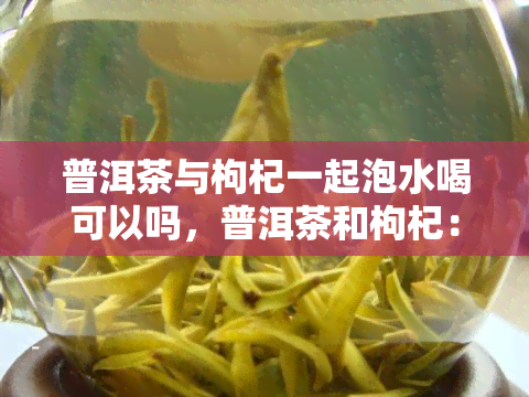 普洱茶与枸杞一起泡水喝可以吗，普洱茶和枸杞：能否一起泡水饮用？