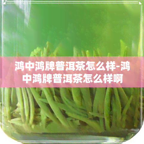 鸿中鸿牌普洱茶怎么样-鸿中鸿牌普洱茶怎么样啊