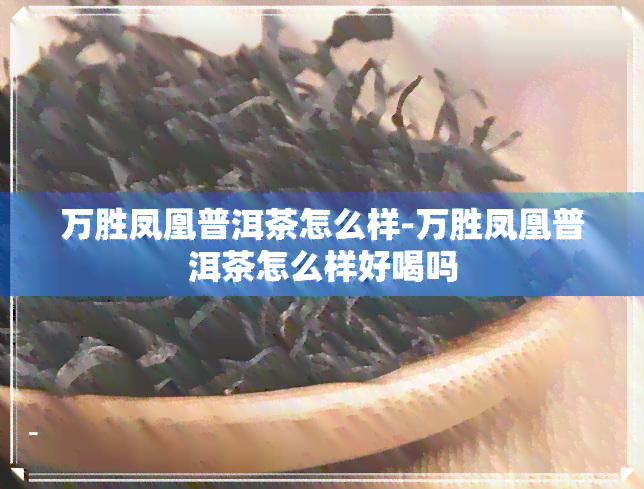 万胜凤凰普洱茶怎么样-万胜凤凰普洱茶怎么样好喝吗