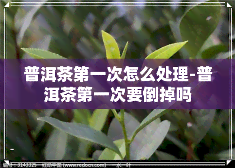 普洱茶之一次怎么处理-普洱茶之一次要倒掉吗