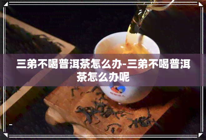 三弟不喝普洱茶怎么办-三弟不喝普洱茶怎么办呢