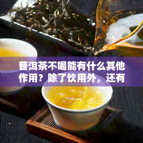 普洱茶不喝能有什么其他作用？除了饮用外，还有哪些用途和功效？