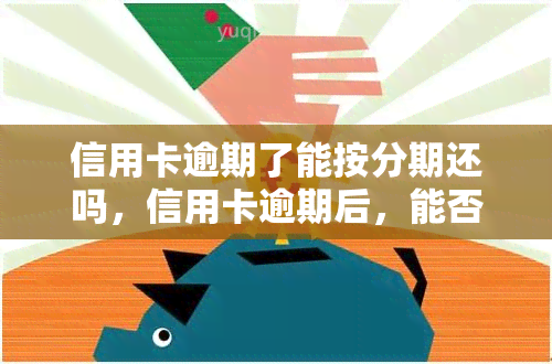 信用卡逾期了能按分期还吗，信用卡逾期后，能否申请分期还款？