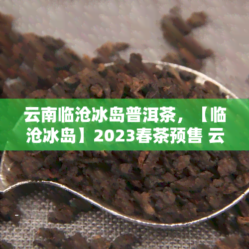 云南临沧冰岛普洱茶，【临沧冰岛】2023春茶预售 云南纯料古树单株冰岛普洱生茶758克 独立小包 多年老树头春叶