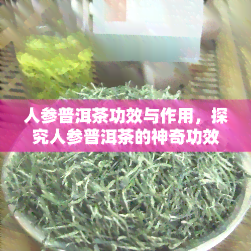 人参普洱茶功效与作用，探究人参普洱茶的神奇功效与作用！