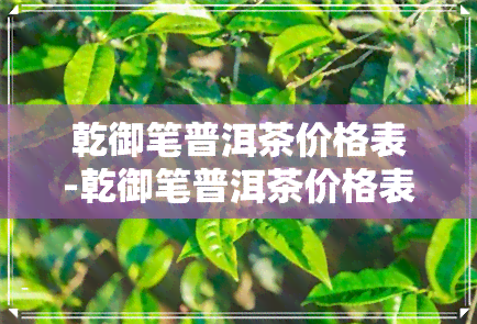 乾御笔普洱茶价格表-乾御笔普洱茶价格表大全