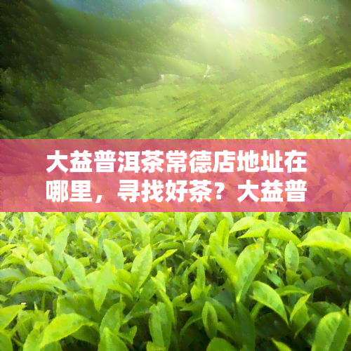 大益普洱茶常德店地址在哪里，寻找好茶？大益普洱茶常德店地址全在这里！