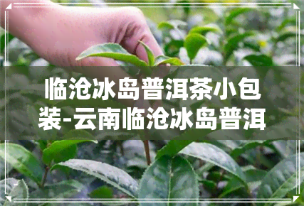 临沧冰岛普洱茶小包装-云南临沧冰岛普洱茶