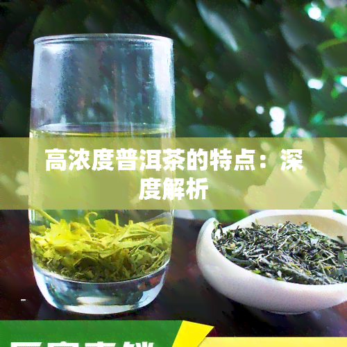 高浓度普洱茶的特点：深度解析