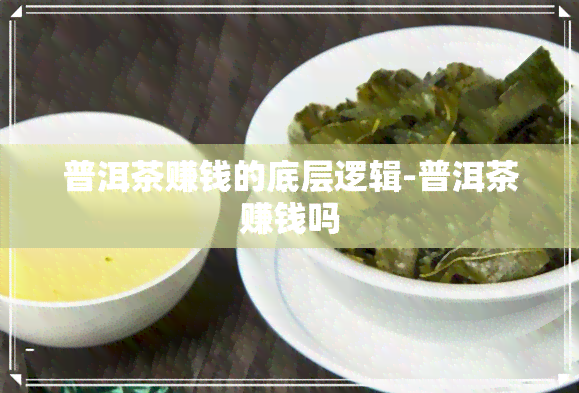 普洱茶赚钱的底层逻辑-普洱茶赚钱吗