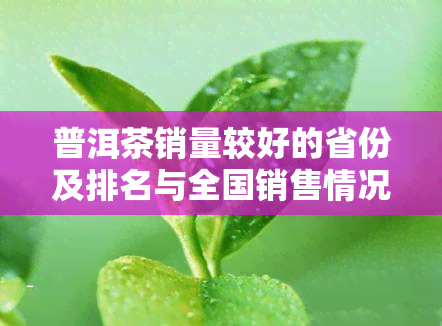 普洱茶销量较好的省份及排名与全国销售情况