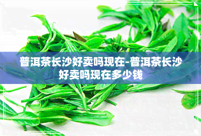 普洱茶长沙好卖吗现在-普洱茶长沙好卖吗现在多少钱