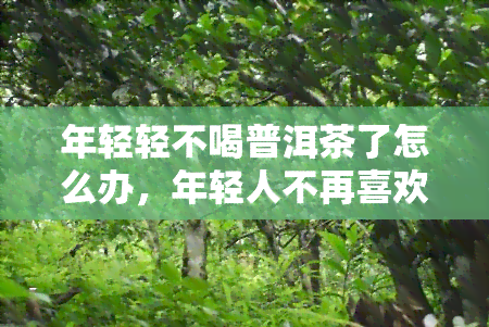 年轻轻不喝普洱茶了怎么办，年轻人不再喜欢普洱茶？如何改变这一情况？