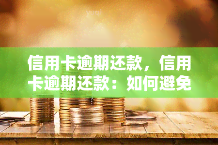 信用卡逾期还款，信用卡逾期还款：如何避免高额罚款和信用记录受损