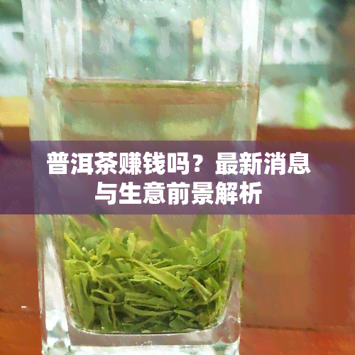 普洱茶赚钱吗？最新消息与生意前景解析