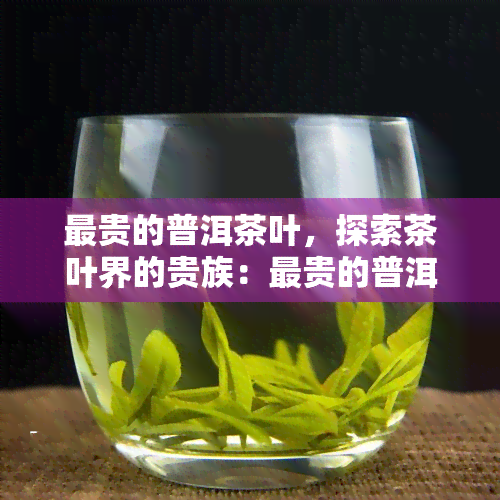 最贵的普洱茶叶，探索茶叶界的贵族：最贵的普洱茶叶一览