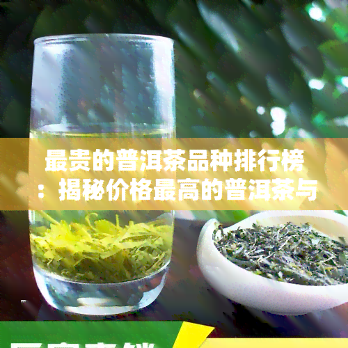 最贵的普洱茶品种排行榜：揭秘价格更高的普洱茶与名称