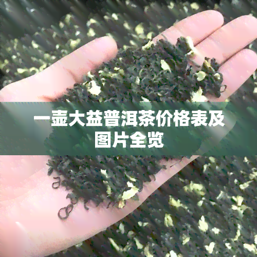 一壶大益普洱茶价格表及图片全览