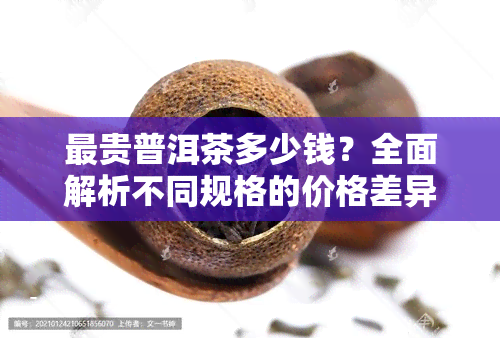 最贵普洱茶多少钱？全面解析不同规格的价格差异