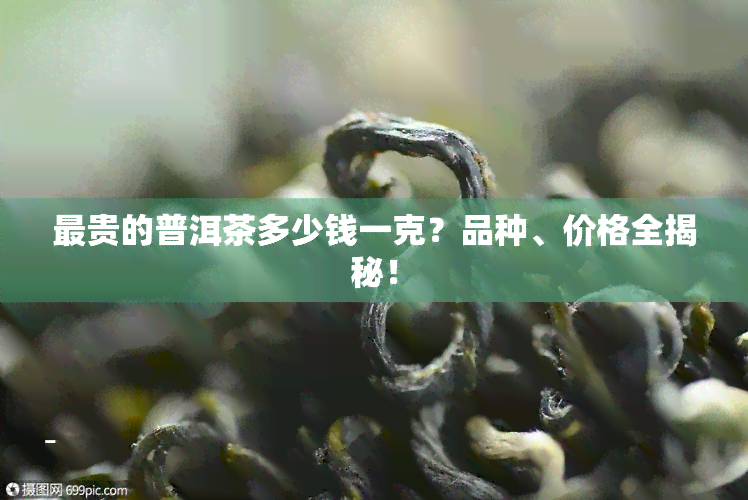 最贵的普洱茶多少钱一克？品种、价格全揭秘！