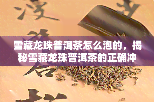 雪藏龙珠普洱茶怎么泡的，揭秘雪藏龙珠普洱茶的正确冲泡方法！