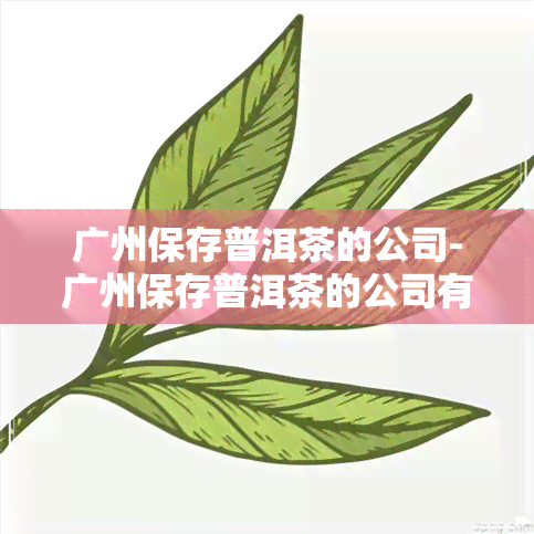 广州保存普洱茶的公司-广州保存普洱茶的公司有哪些