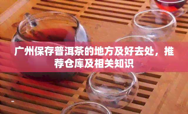 广州保存普洱茶的地方及好去处，推荐仓库及相关知识