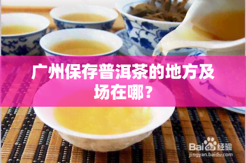 广州保存普洱茶的地方及场在哪？