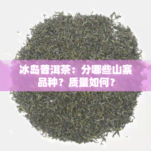 冰岛普洱茶：分哪些山寨品种？质量如何？