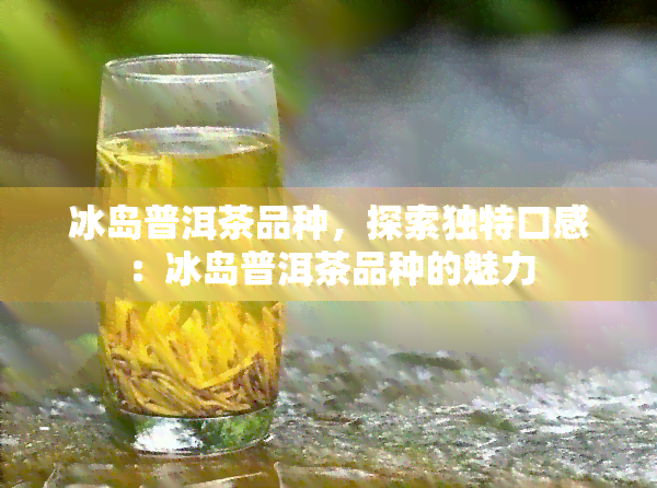 冰岛普洱茶品种，探索独特口感：冰岛普洱茶品种的魅力