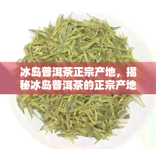 冰岛普洱茶正宗产地，揭秘冰岛普洱茶的正宗产地，品味千年古树的魅力