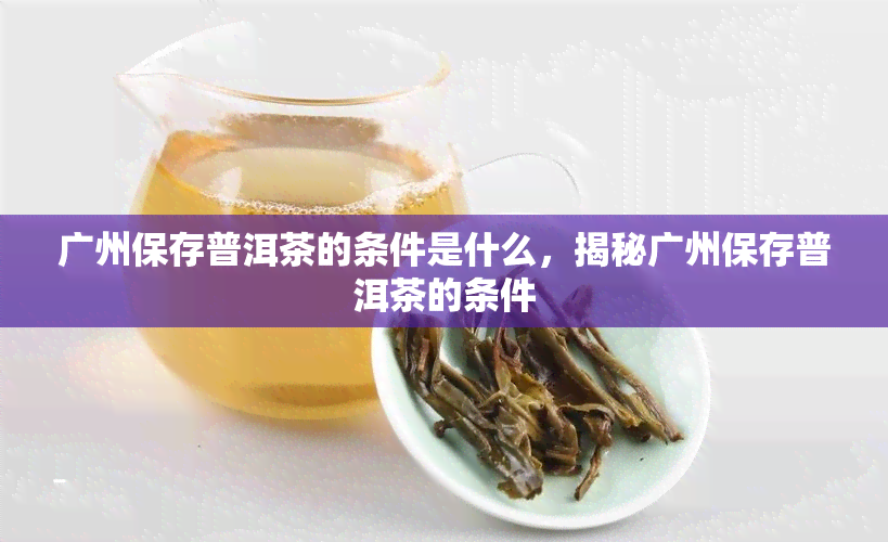 广州保存普洱茶的条件是什么，揭秘广州保存普洱茶的条件