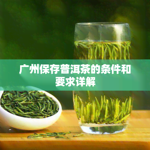 广州保存普洱茶的条件和要求详解