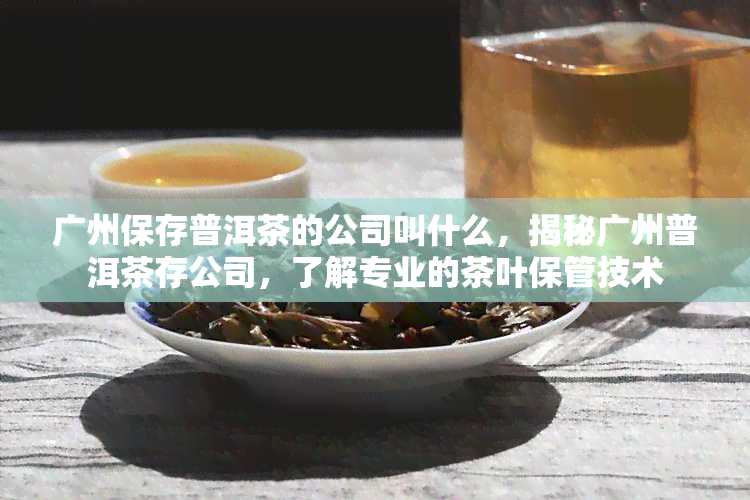 广州保存普洱茶的公司叫什么，揭秘广州普洱茶存公司，了解专业的茶叶保管技术