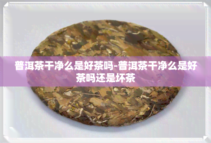 普洱茶干净么是好茶吗-普洱茶干净么是好茶吗还是坏茶