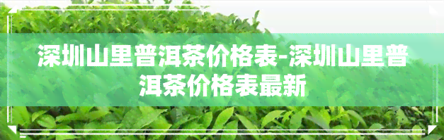 深圳山里普洱茶价格表-深圳山里普洱茶价格表最新