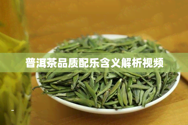 普洱茶品质配乐含义解析视频