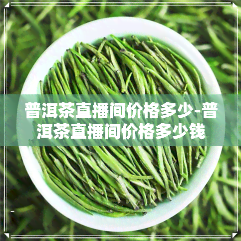 普洱茶直播间价格多少-普洱茶直播间价格多少钱