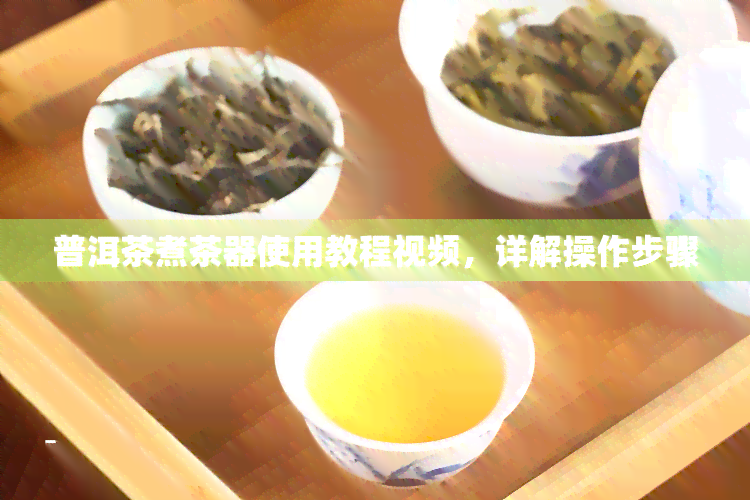 普洱茶煮茶器使用教程视频，详解操作步骤