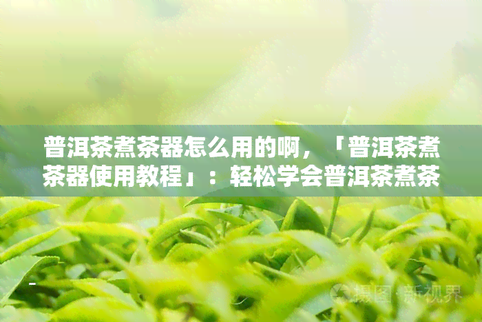 普洱茶煮茶器怎么用的啊，「普洱茶煮茶器使用教程」：轻松学会普洱茶煮茶器的正确使用方法！