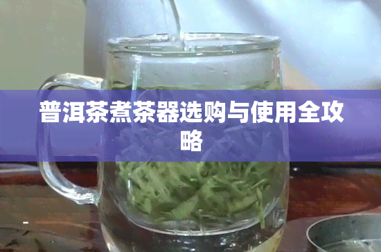 普洱茶煮茶器选购与使用全攻略