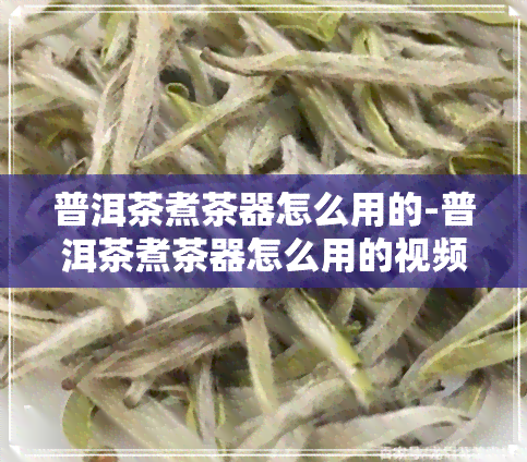 普洱茶煮茶器怎么用的-普洱茶煮茶器怎么用的视频