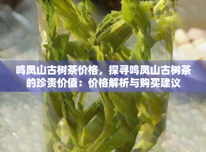 鸣凤山古树茶价格，探寻鸣凤山古树茶的珍贵价值：价格解析与购买建议